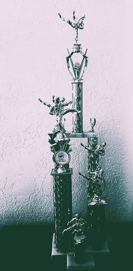 「剛柔流 (Goju-Ryu)」空手のトーナメント🥋