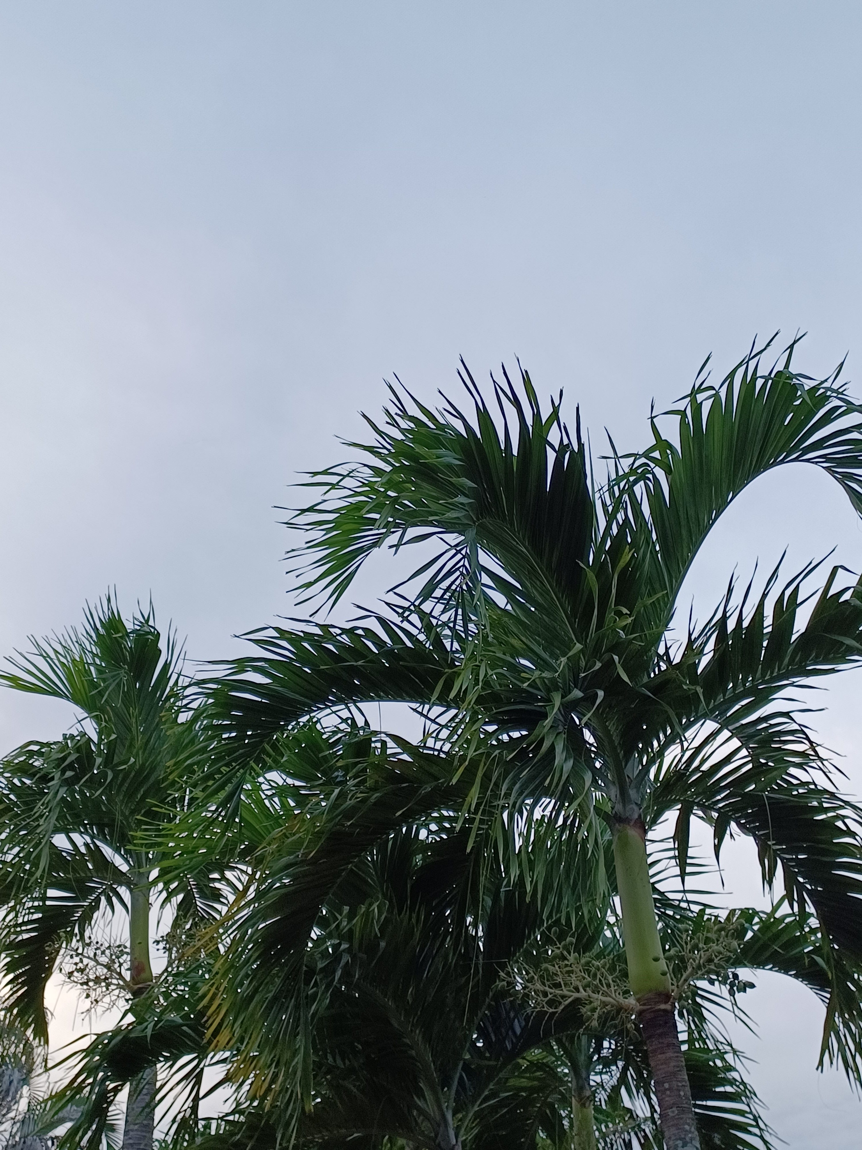 11月も残り少し…🍁