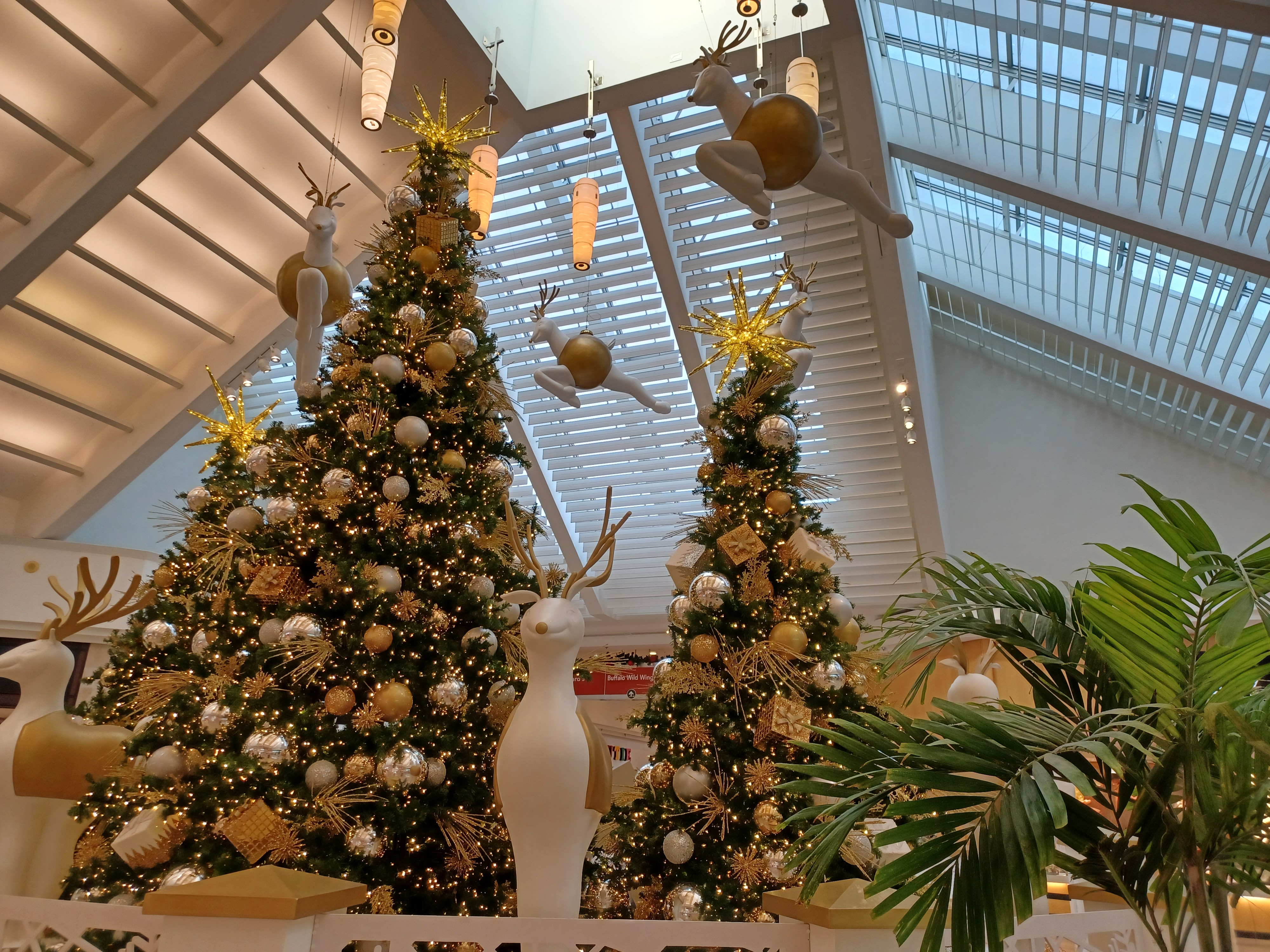 The first day of December⛄❄