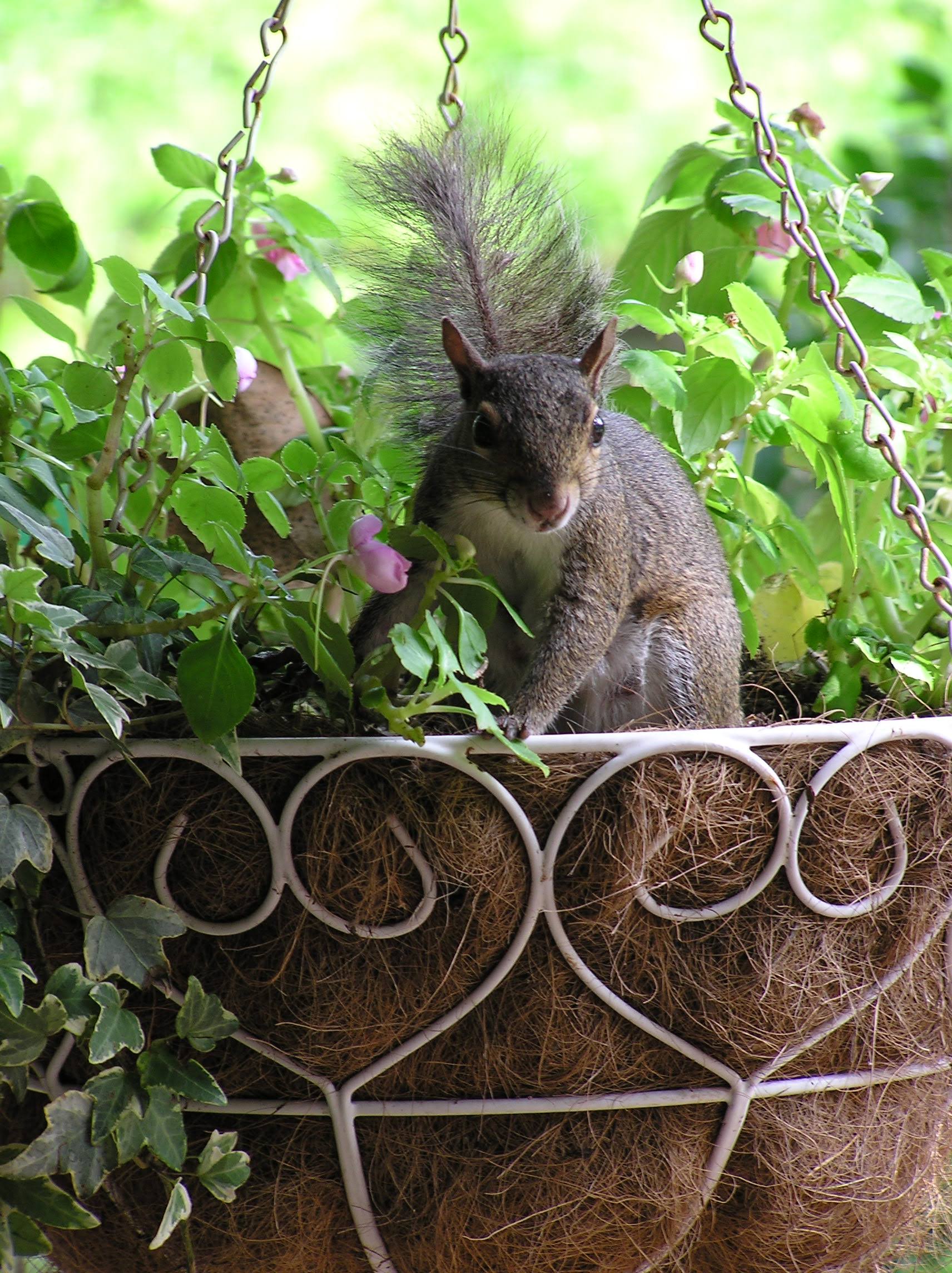 Yeah…which animal do you like?🤣