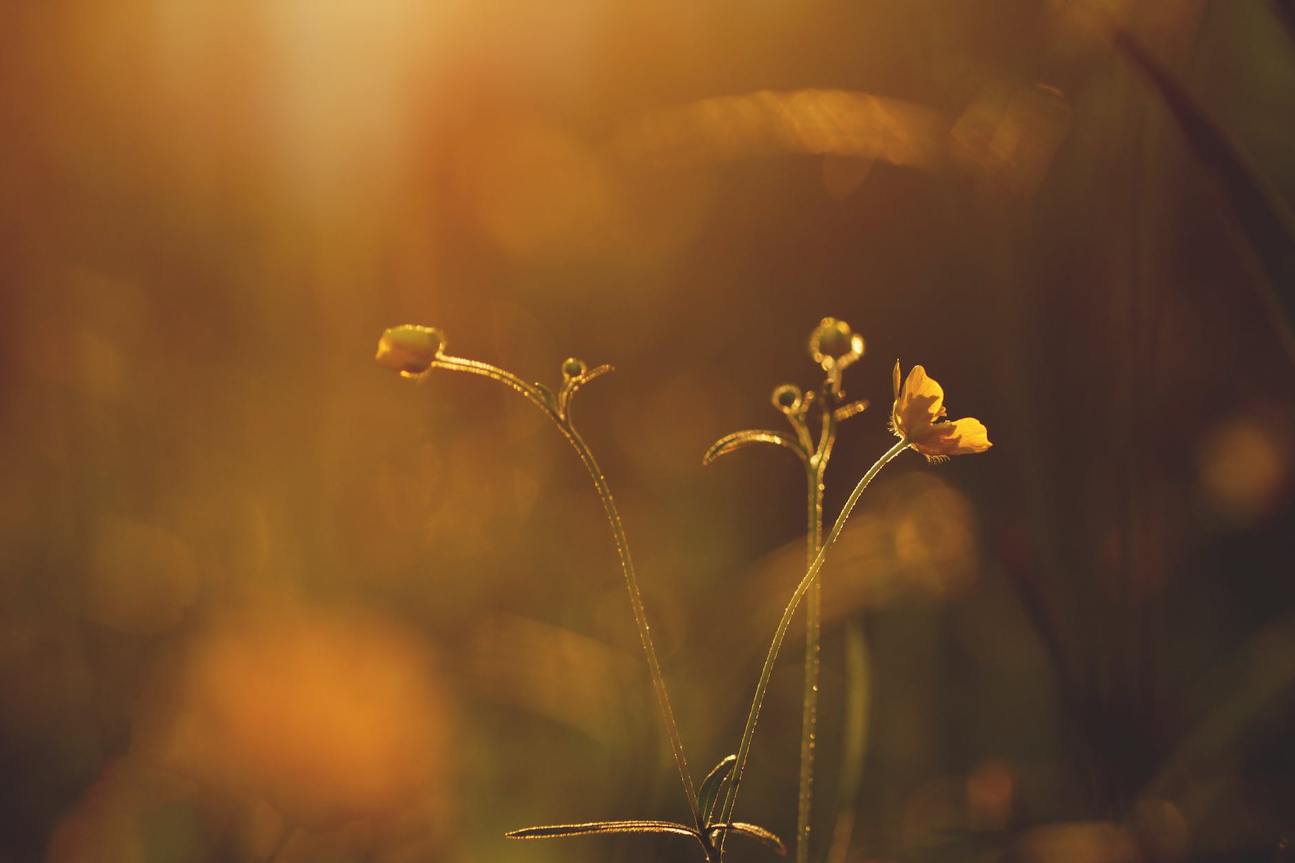 Describe a man who has positively impacted your life.