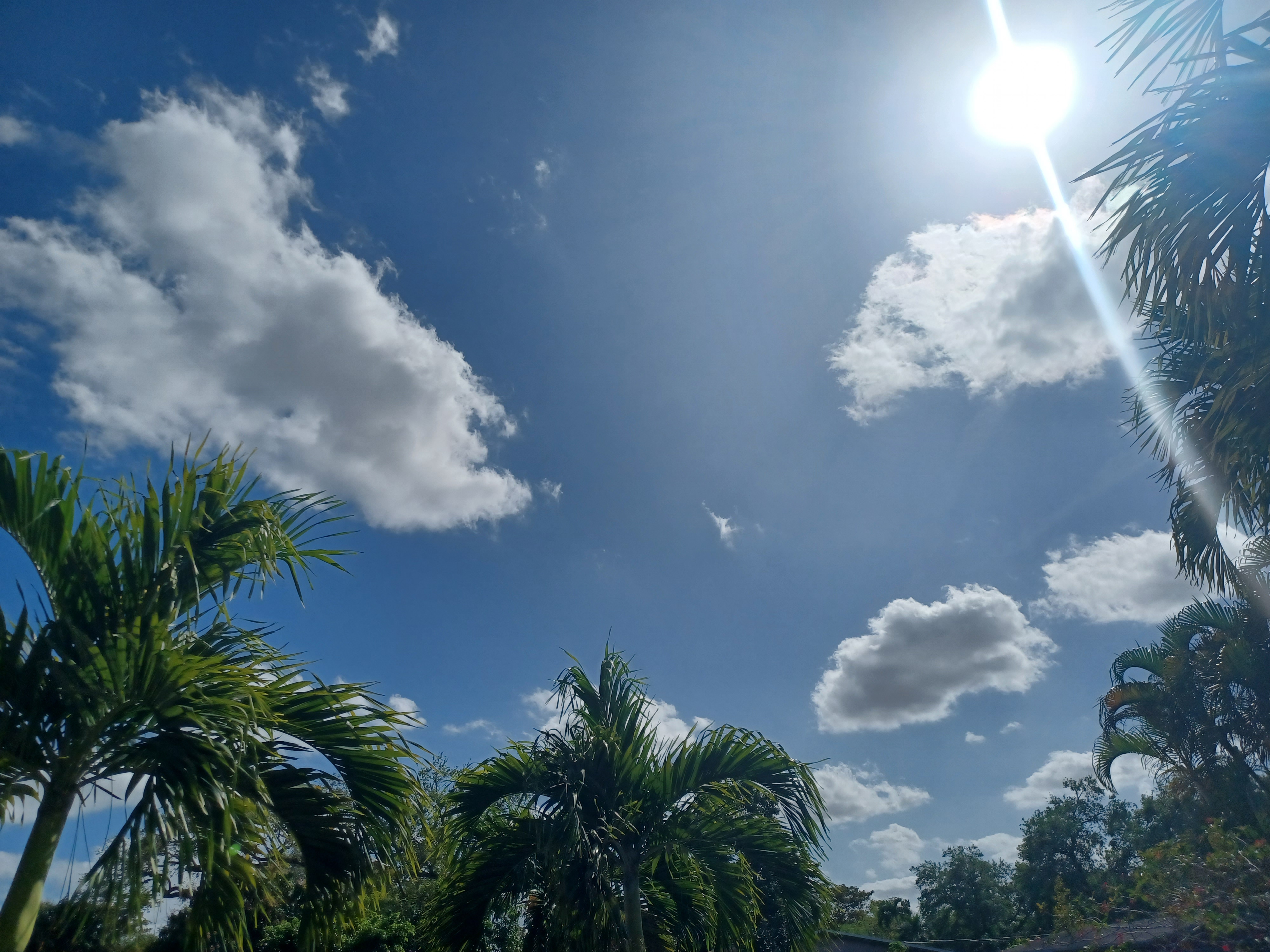 WordPressにプラグインをインストールしたら…🤨😑