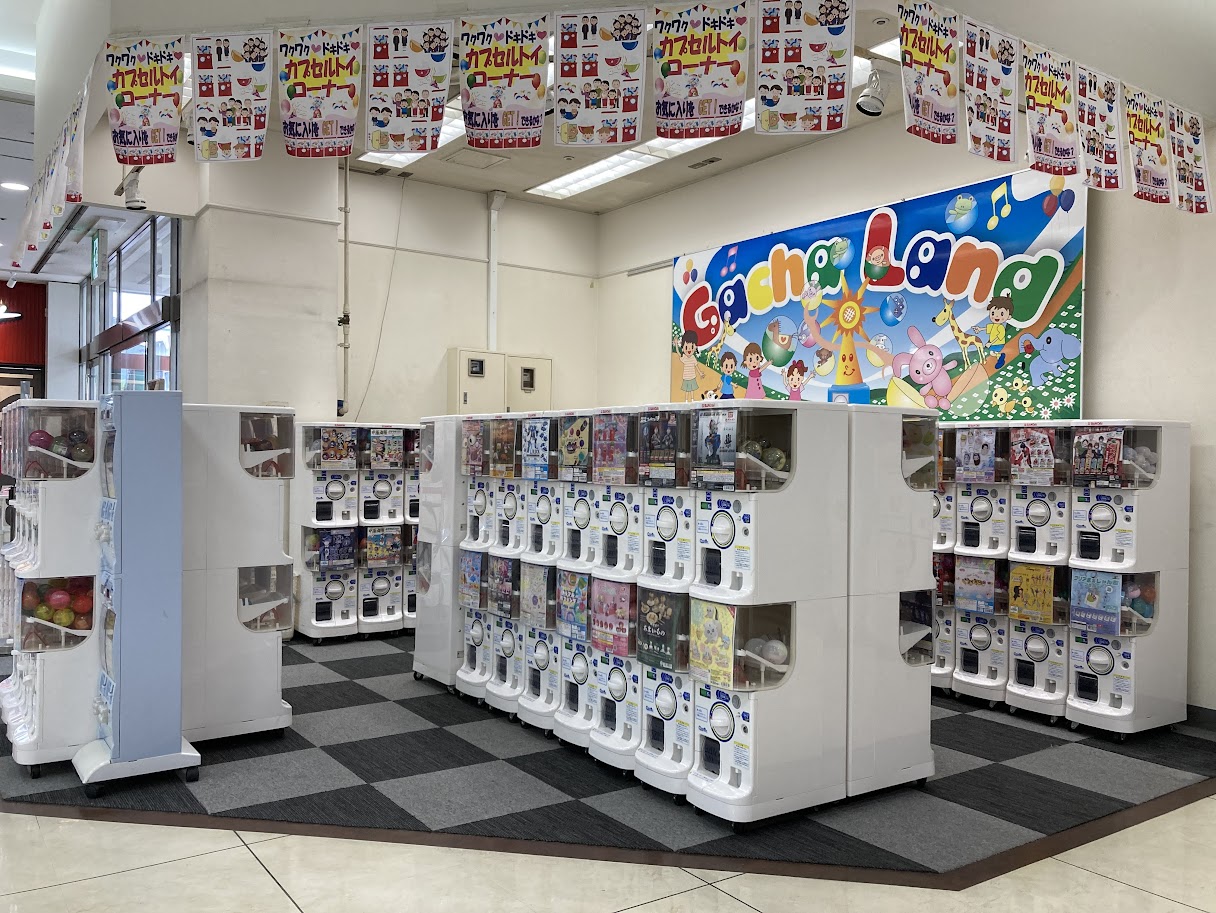 日本での生活もわずか…