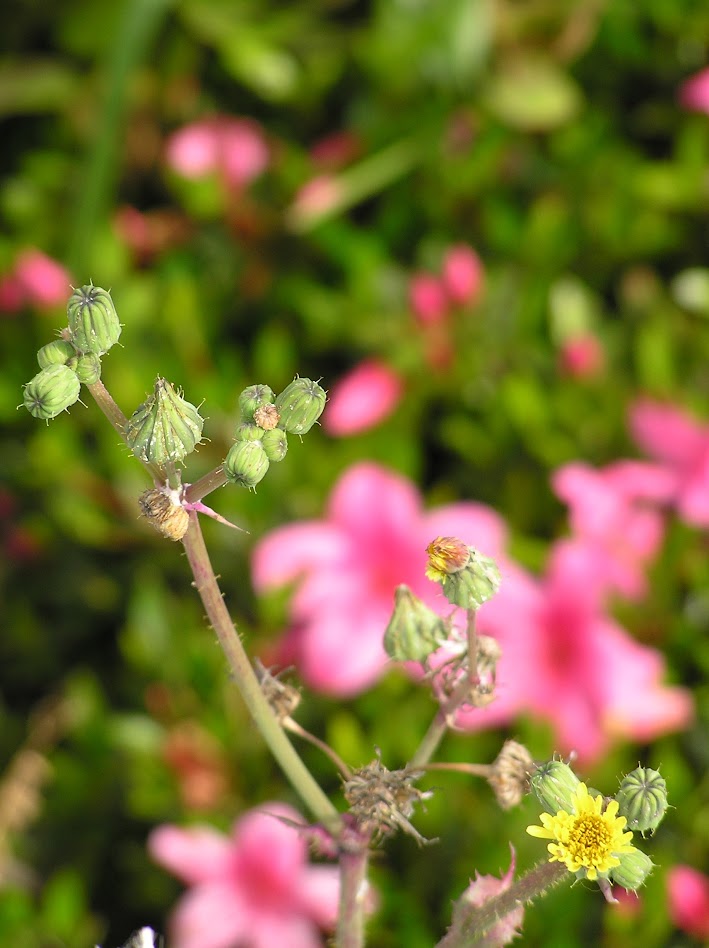 10 Things I Know…私が知っている10個のこと