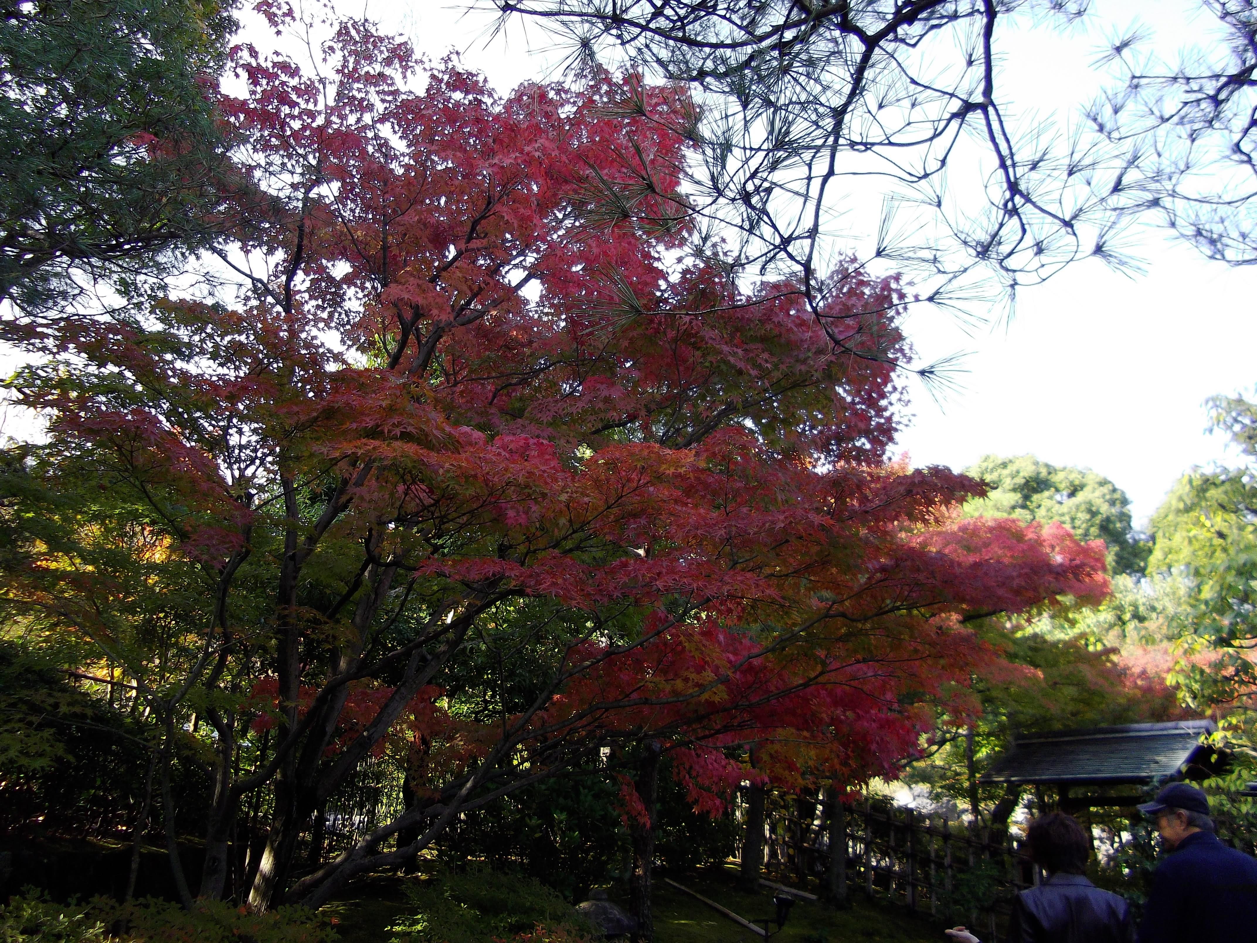 What will your life be like in three years? I don’t know…