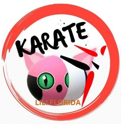 If you started a sports team, what would the colors and mascot be?