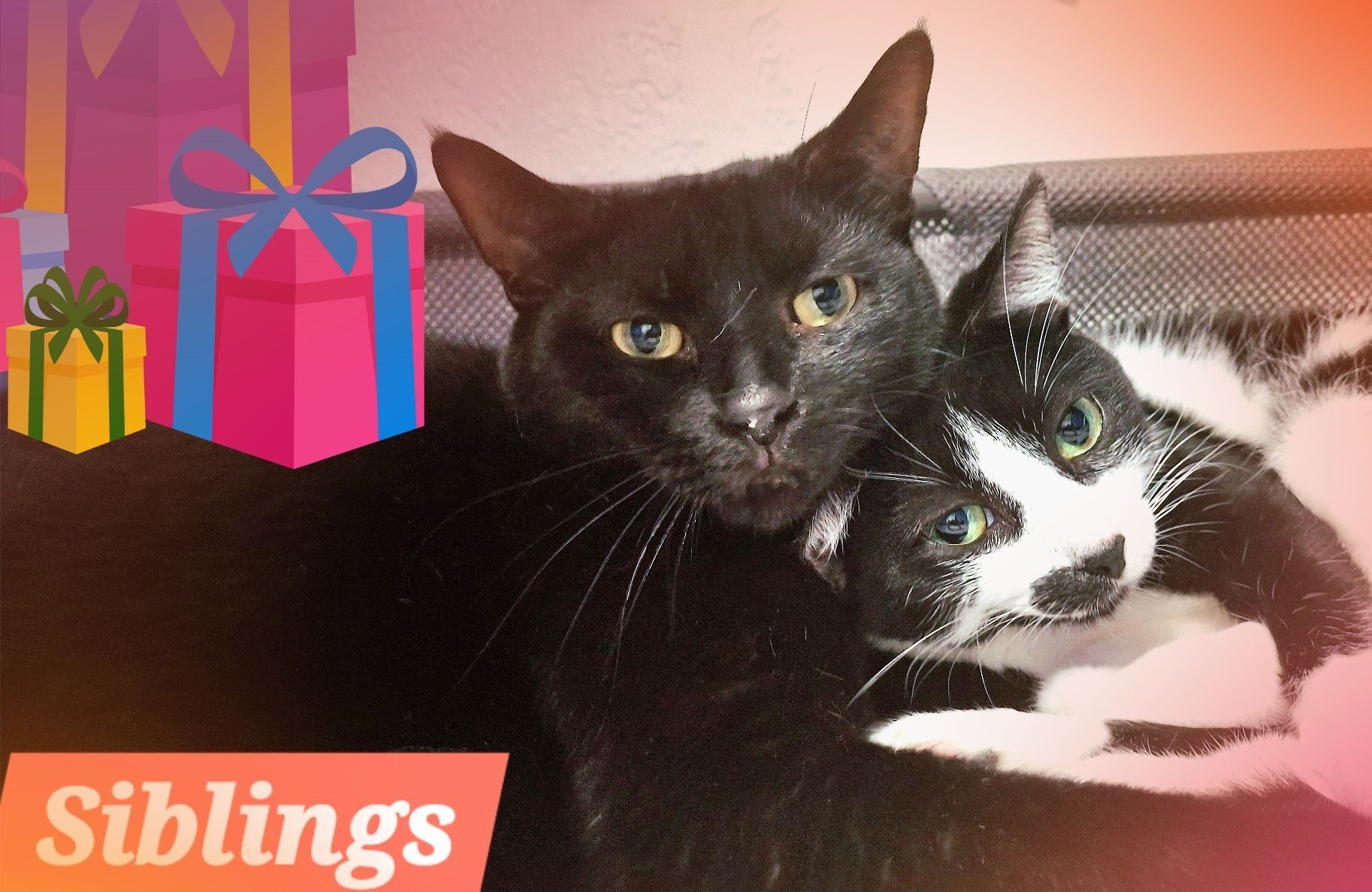 Siblings Forever…? 😅