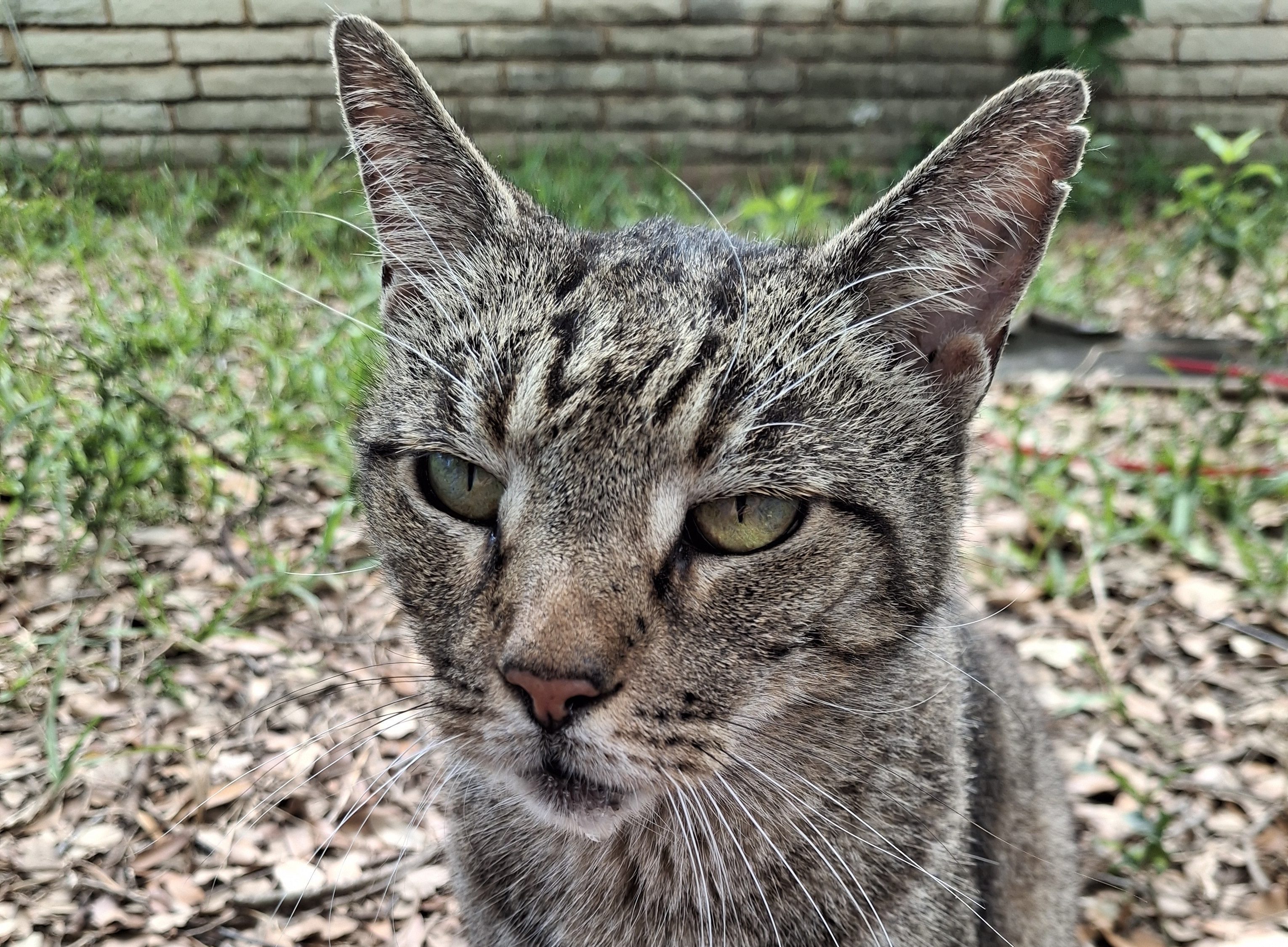 Write about a time when you didn’t take action but wish you had. What would you do differently?