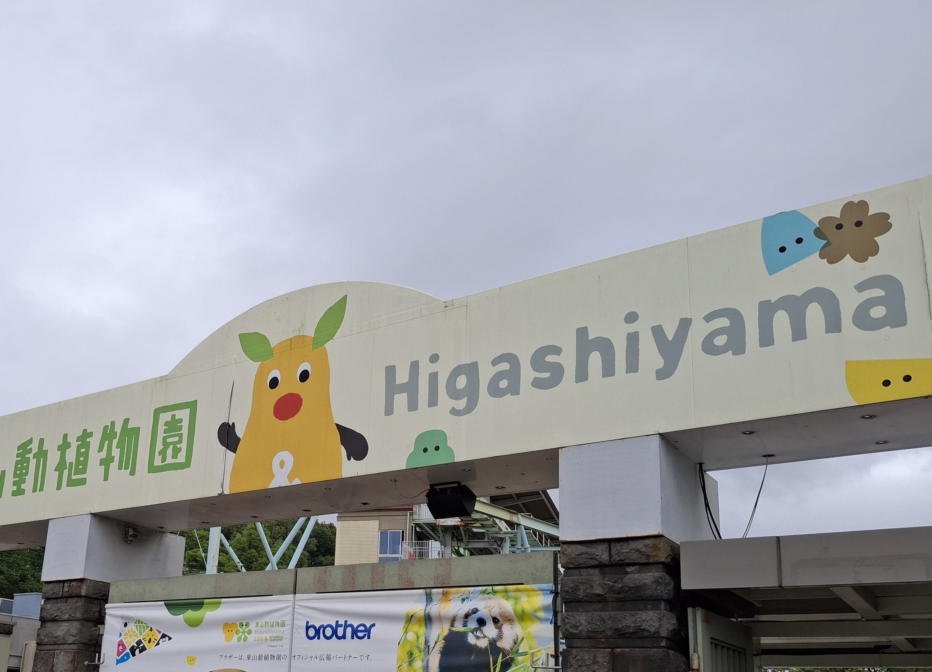 My Fourth Week in Japan