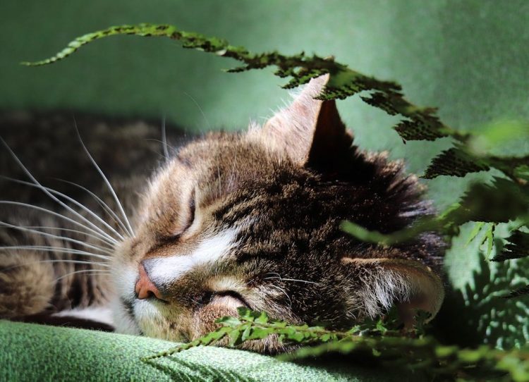 What time do you go to bed and wake up currently?