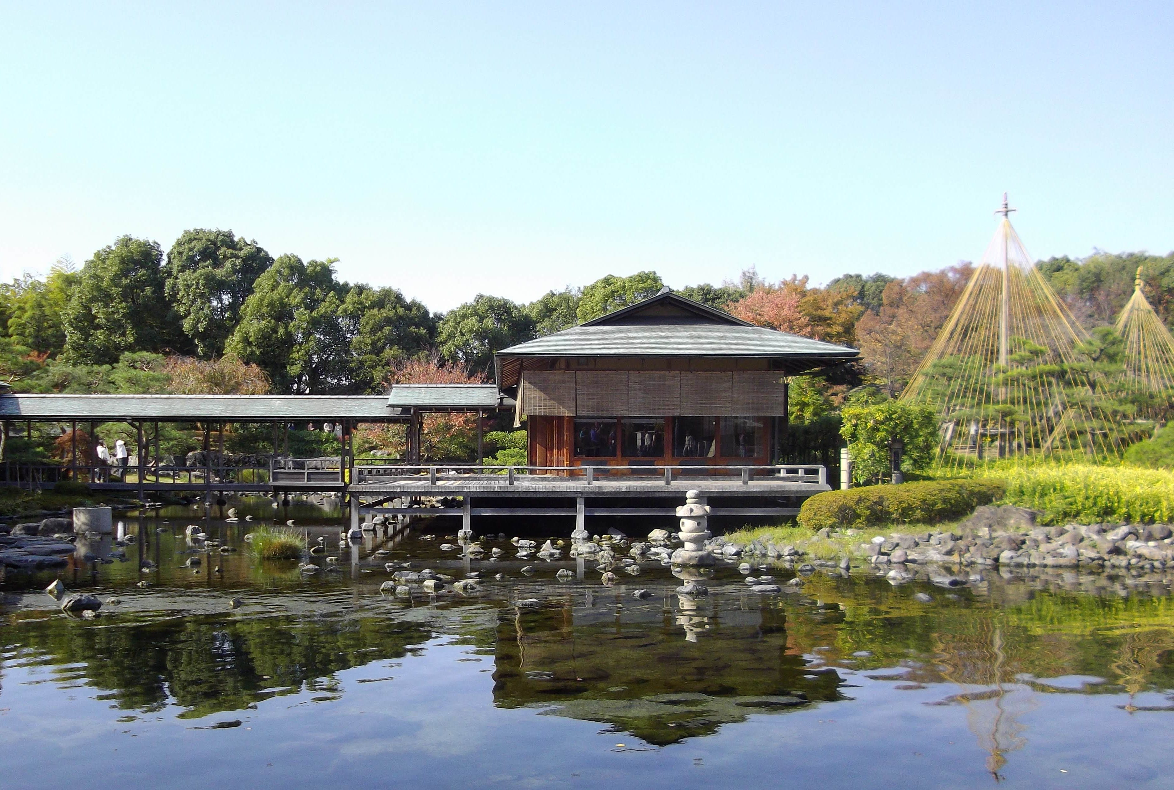 What was the last thing you searched for online? Why were you looking for it?