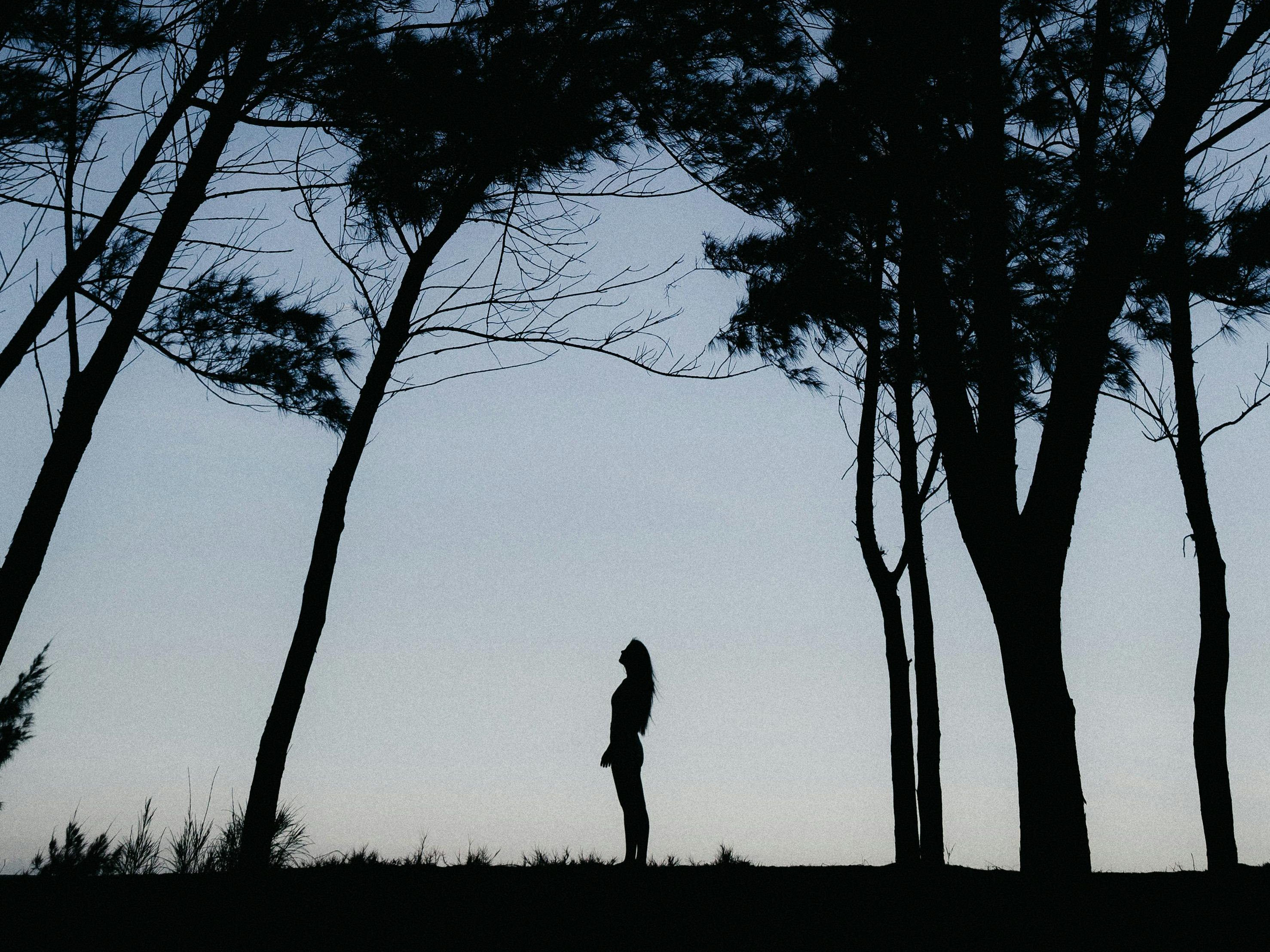 Describe your life in an alternate universe.