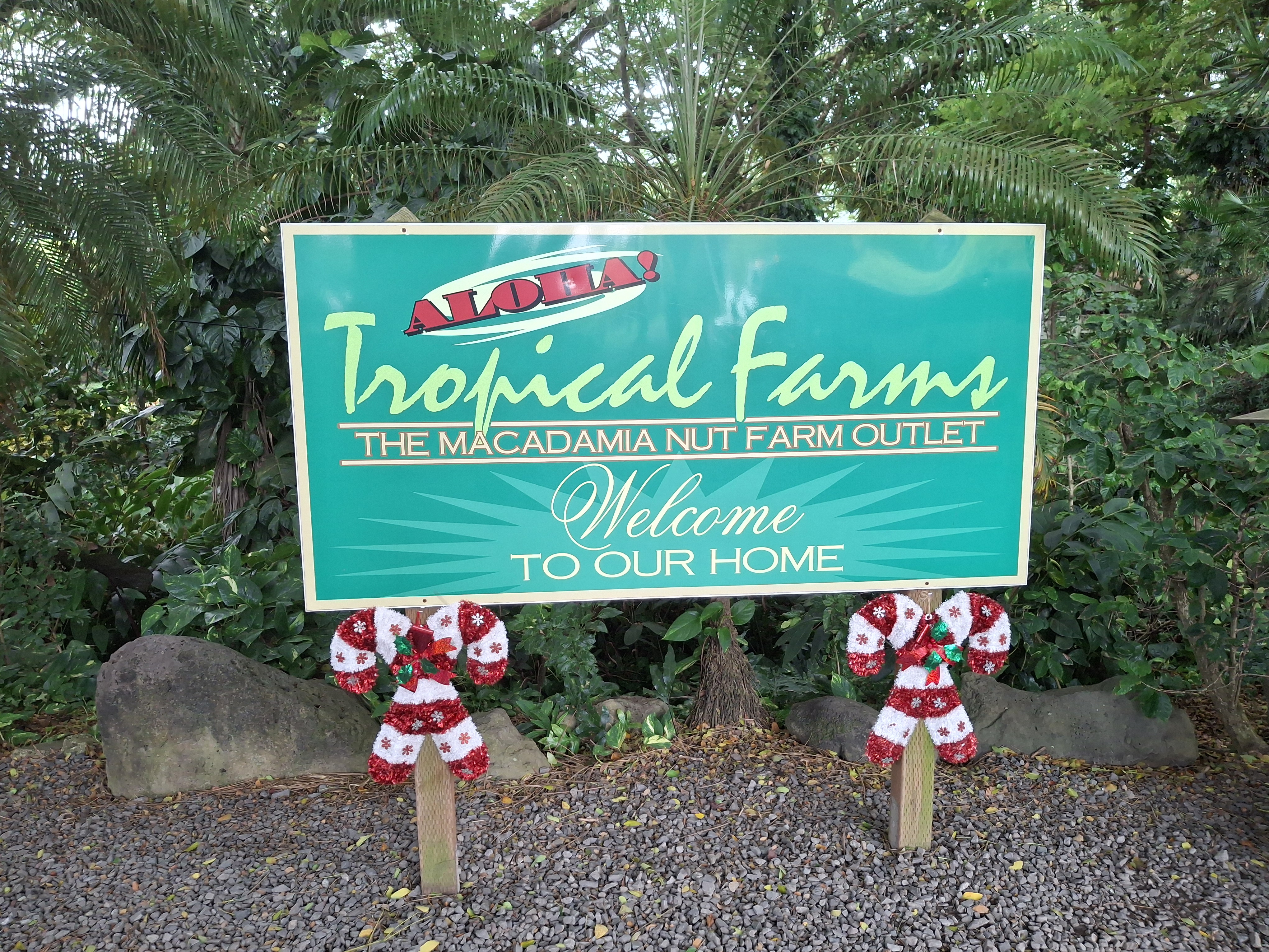 Kualoa Ranch＆Tropical Farms Macadamia Nuts